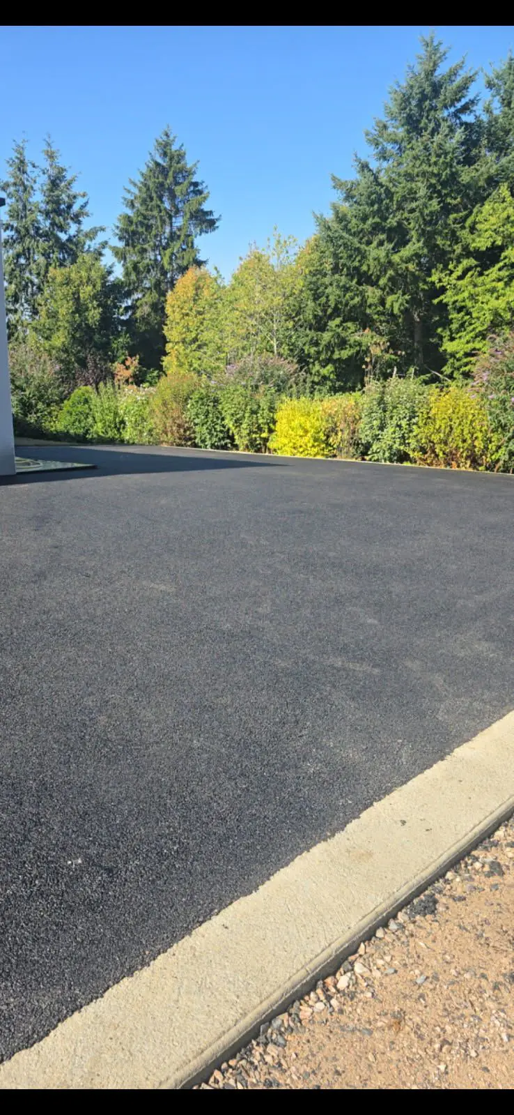 Enrobé neuf bordé d'une bordure béton, avec haie fleurie et grands conifères en arrière-plan